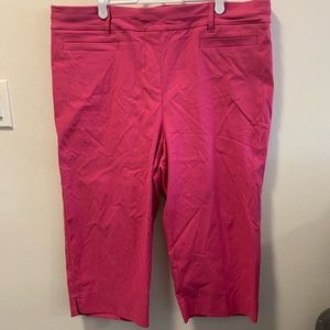 Universal Fit Savvy Pink Capris Pant Sz 20